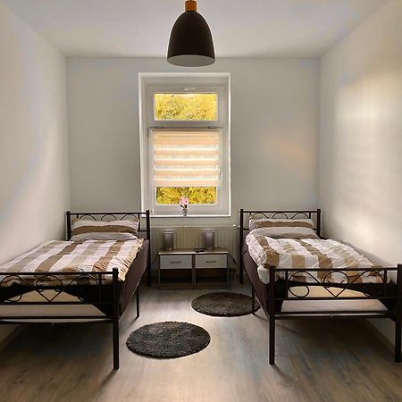 Schoene 3-Zimmer Monteurswohnung Im Sueden Von Leipzig Eg Екстериор снимка